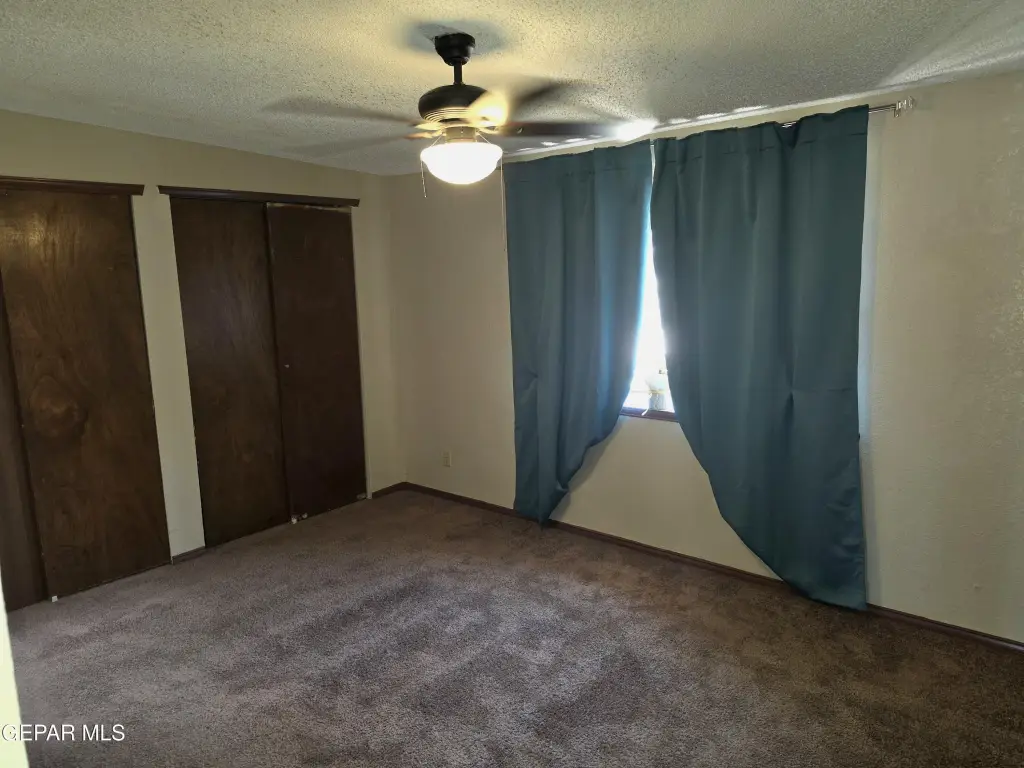 Picture 20