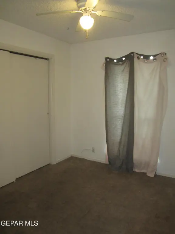 Picture 37