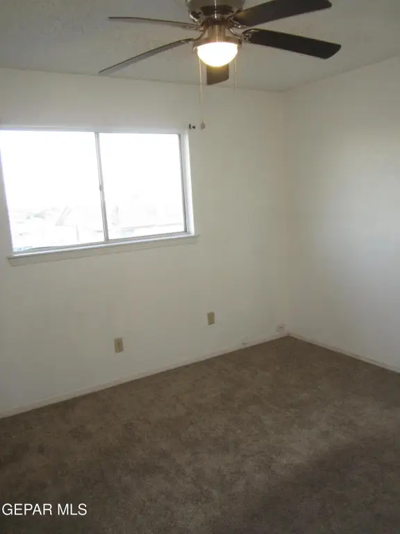 Picture 41