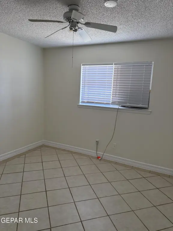Picture 14