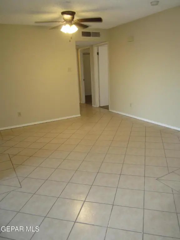 Picture 28