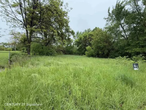 Residential Land in Flint, MI