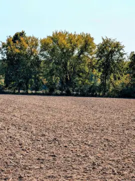 Picture of Residential land & home lots at 31 Mile Road, Ray Twp, MI