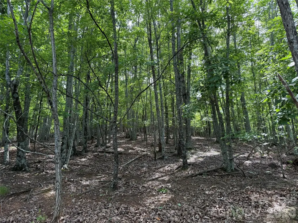 Picture 19