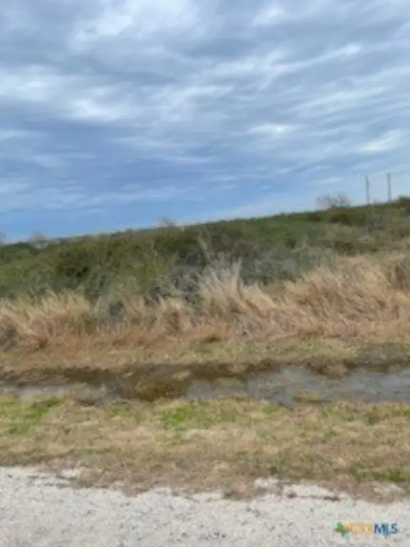 Picture 3
