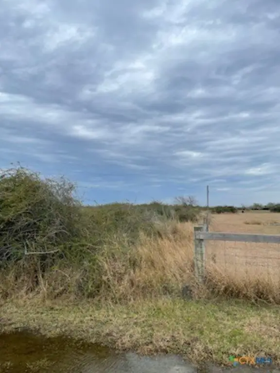 Picture 4