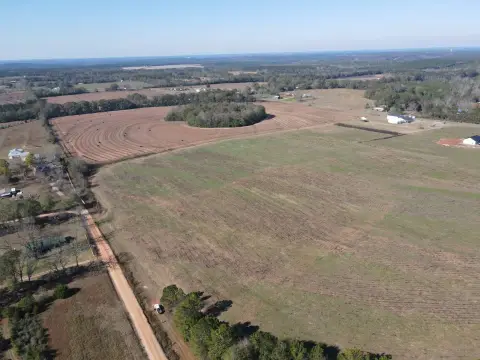 Picture of Residential land & home lots at County Road 529, New Brockton, AL