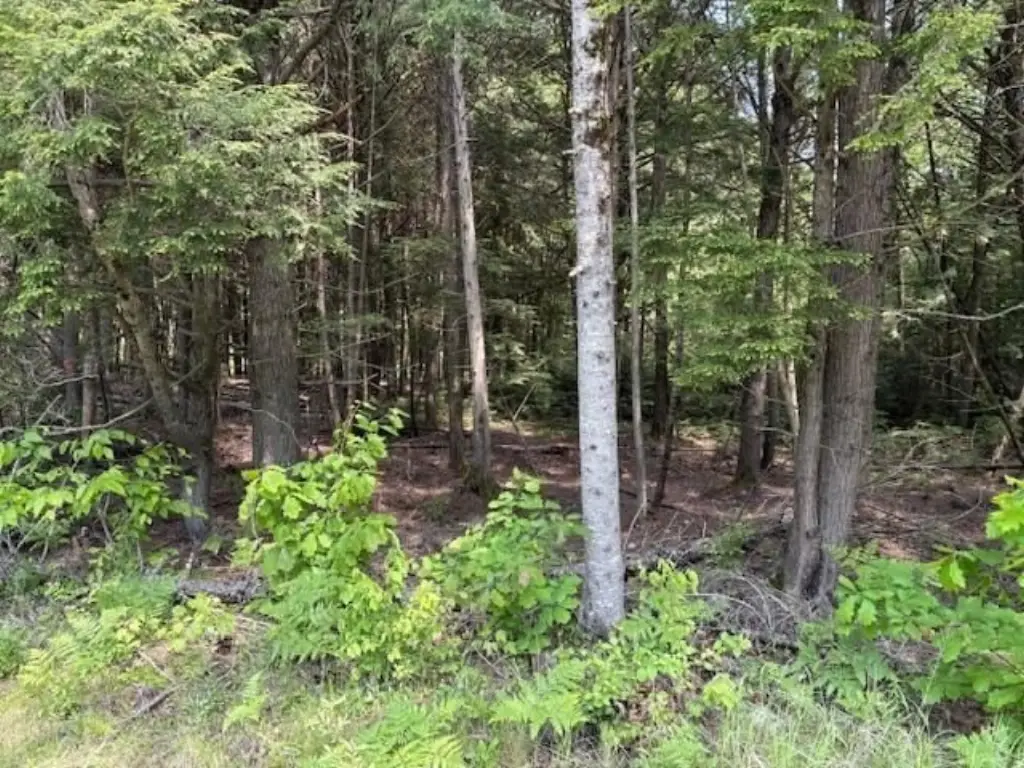 Picture 3