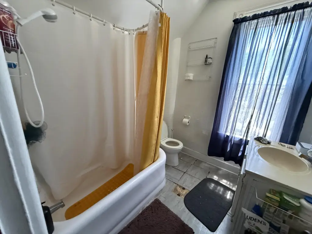 Picture 14