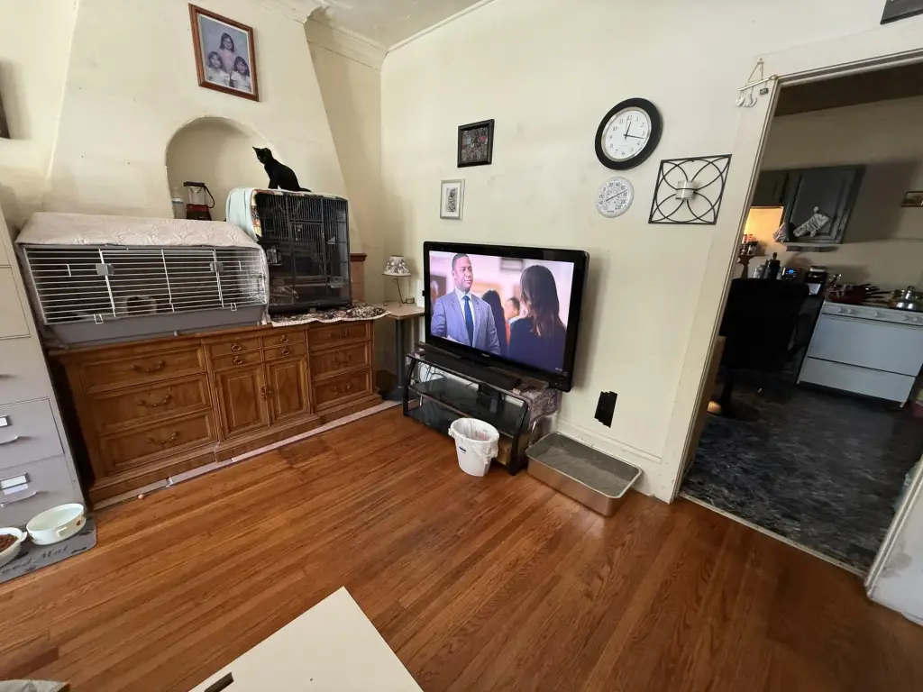 Picture 7
