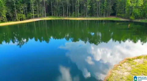 Picture of Land at 799 MAGNOLIA LANE lot 1, Vandiver, AL