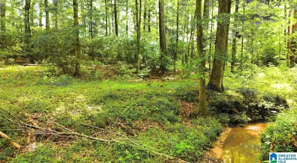 Picture 28