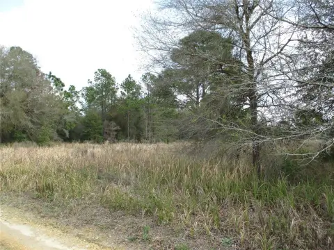 Picture of Residential land & home lots at SW 24TH PLACE, Ocala, FL