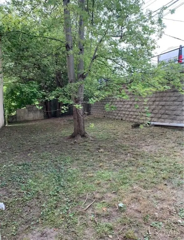 Picture 33