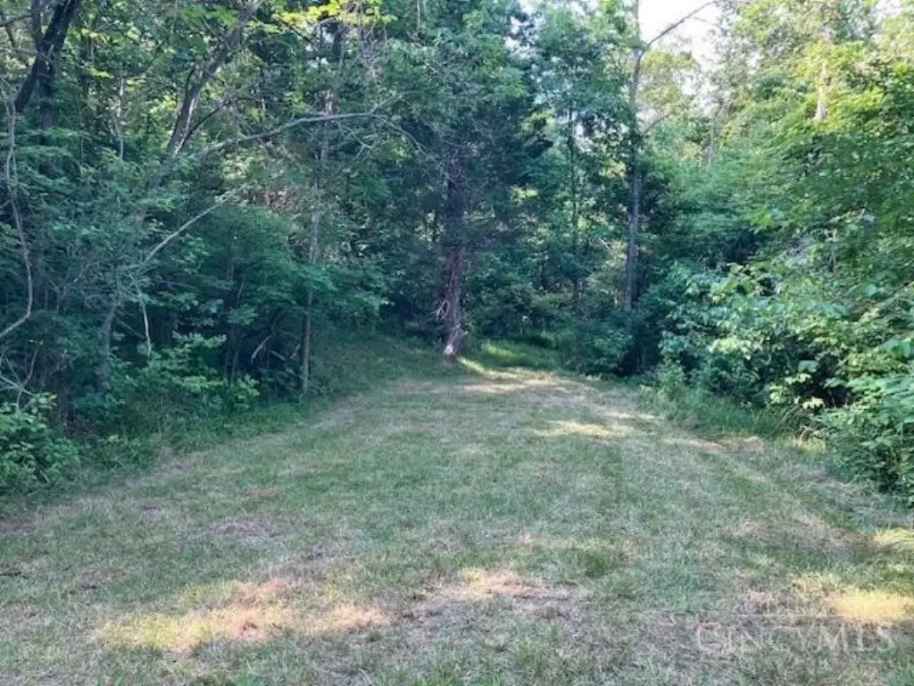 Picture 3