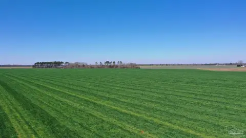 Cleared Land in McCullough, AL