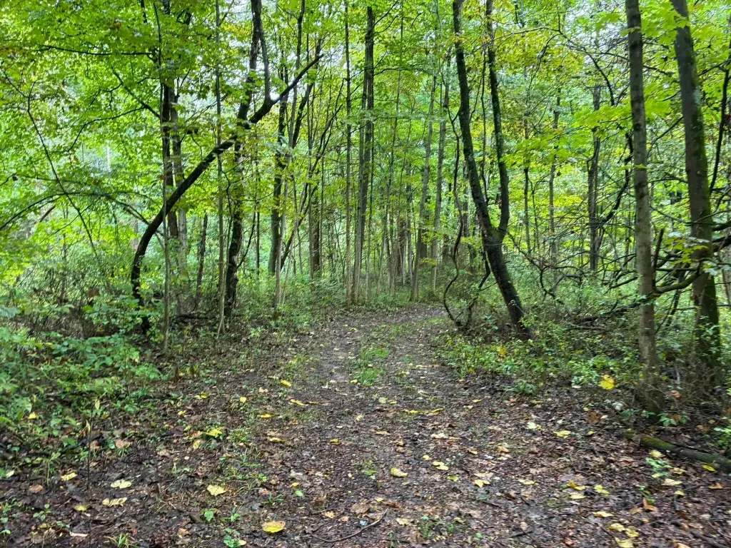 Picture 24