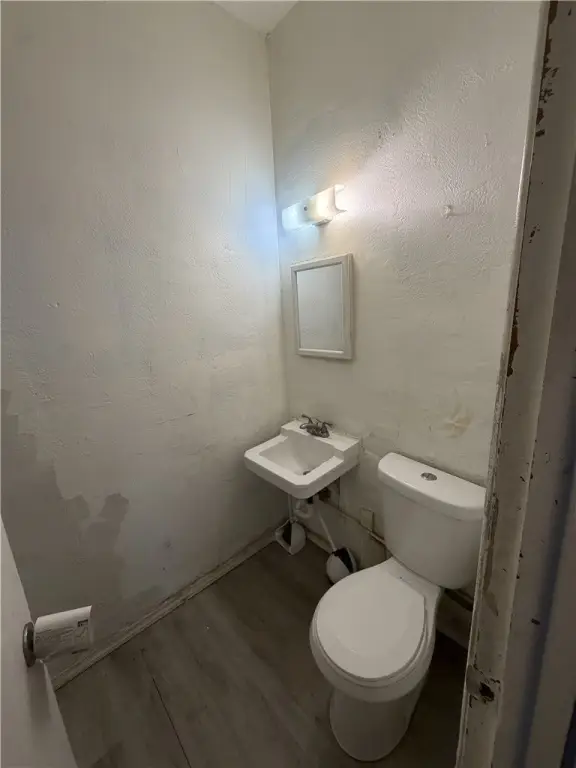 Picture 16