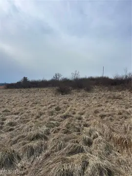Land with Shed Buildings