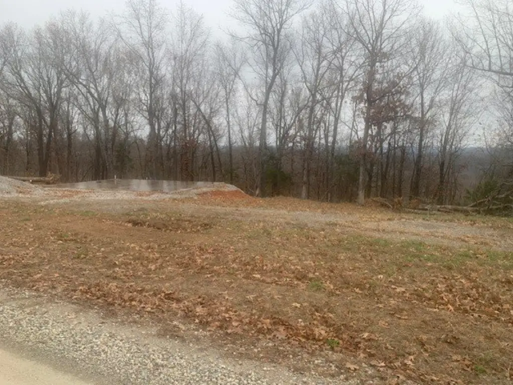 Picture 41