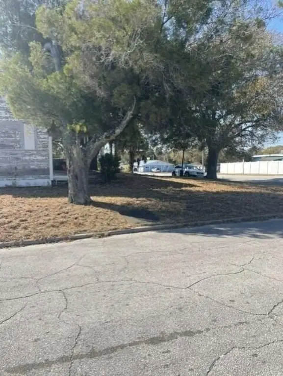 Picture 3
