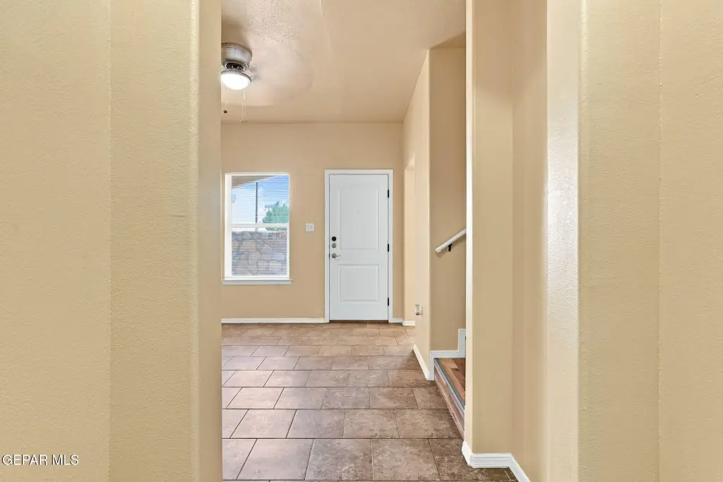 Picture 3
