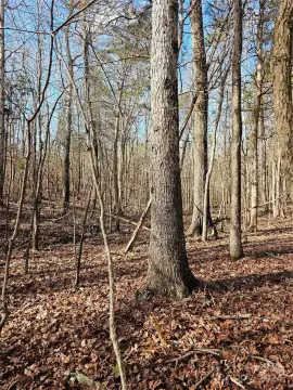 Concord Land with Septic Permit