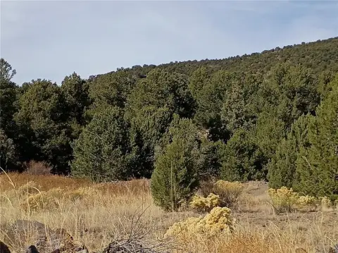 20 Acres of Colorado Land