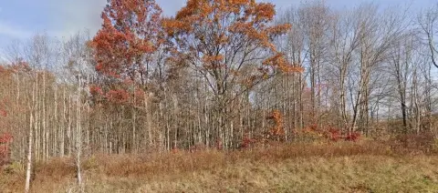 Hunting Land with Rolling Terrain