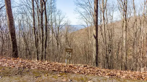 Mountain Homesite in Gated Community