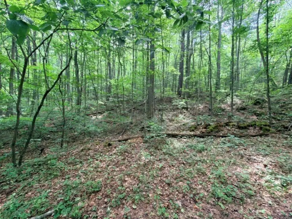 Picture 2