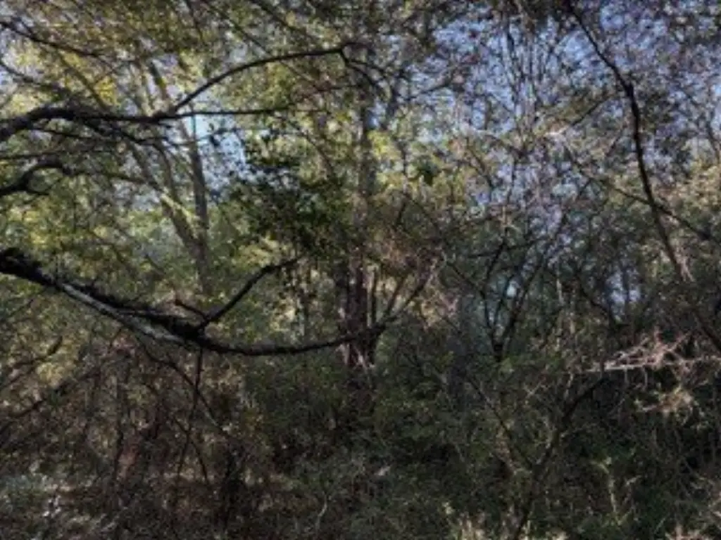 Picture 13