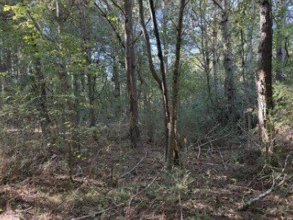 Picture 15