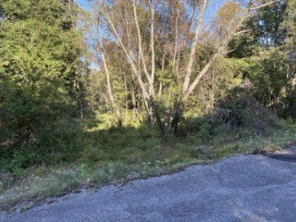 Picture 17
