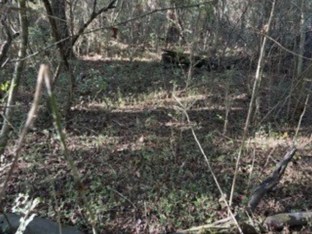 Picture 9