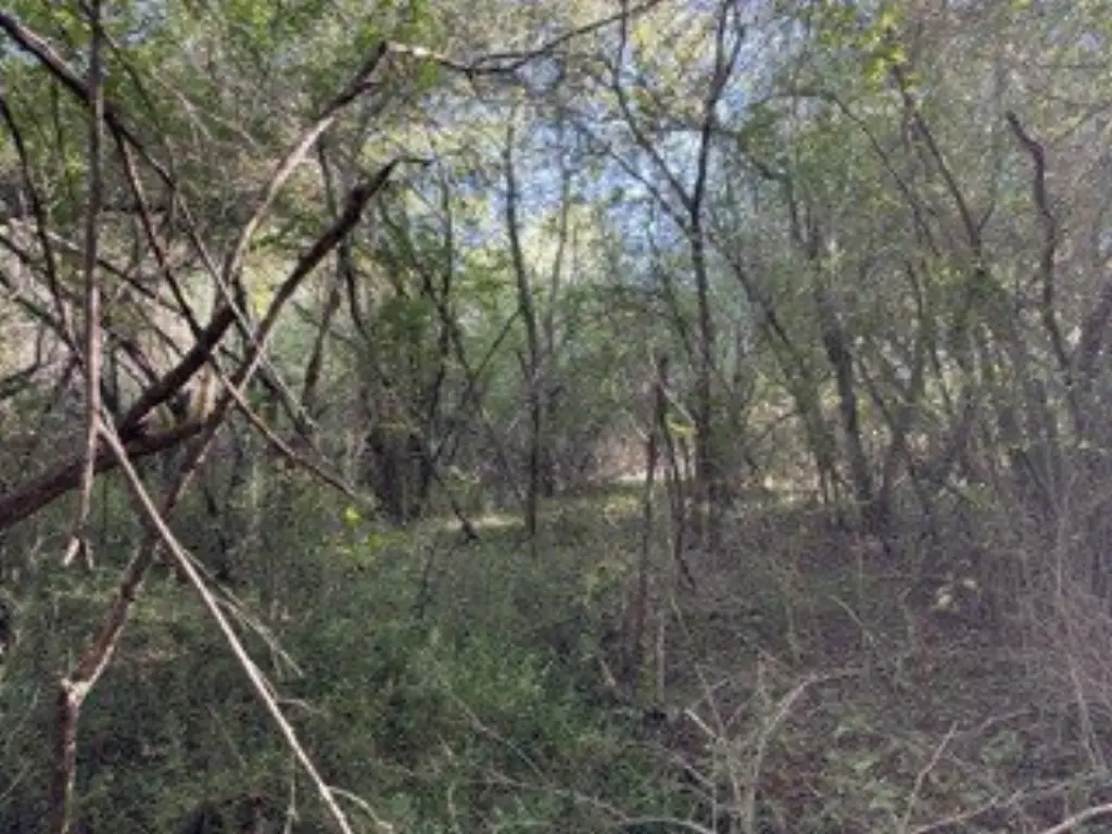 Picture 8
