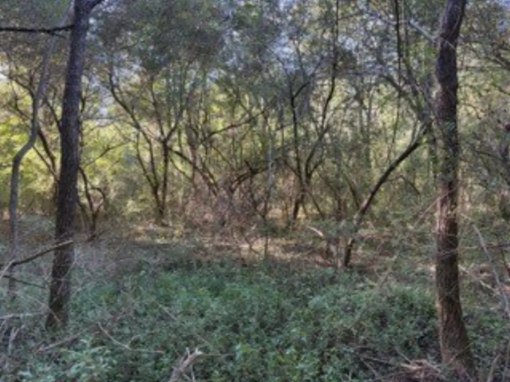 Picture 19