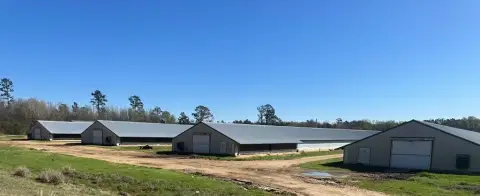 Productive Broiler Farm in Magnolia, AR