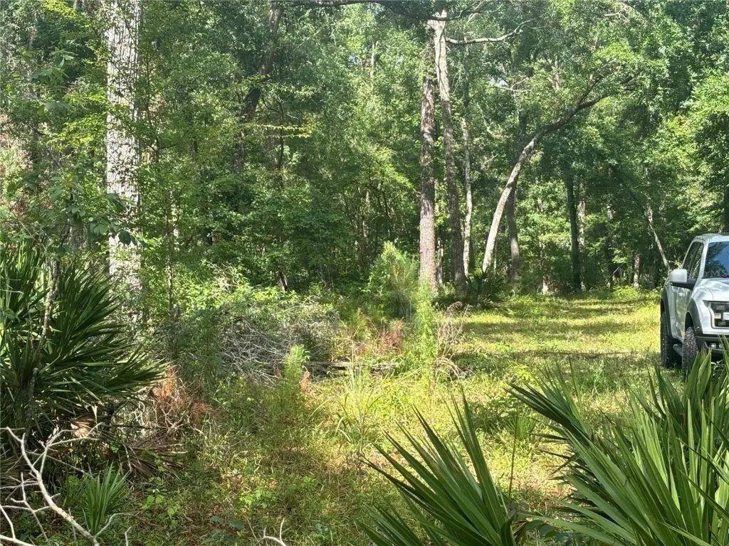 Picture 7