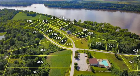 Residential Land in Golden Eagle, IL