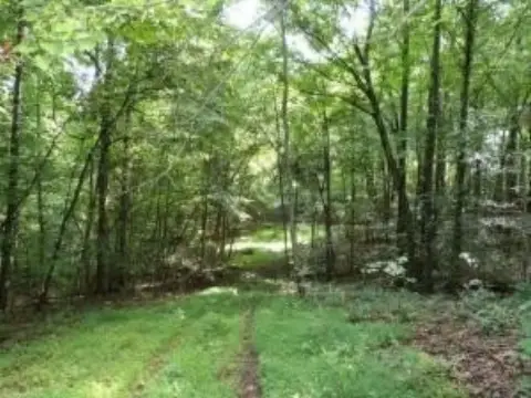 Secluded Acreage Near Lake Cumberland