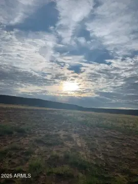 41.24 Acres of Agricultural Land