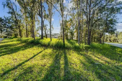 Rare Corner Lot in Riverview