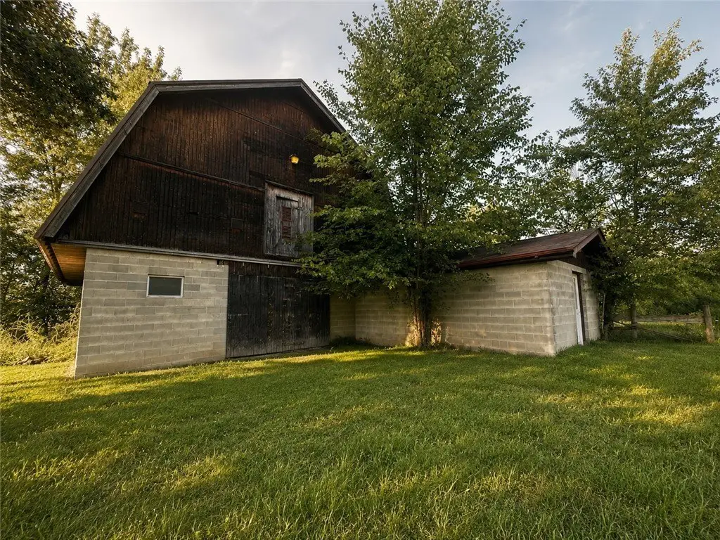 Picture 8