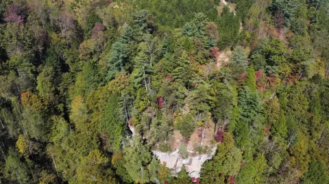 Land For Sale in Rogers