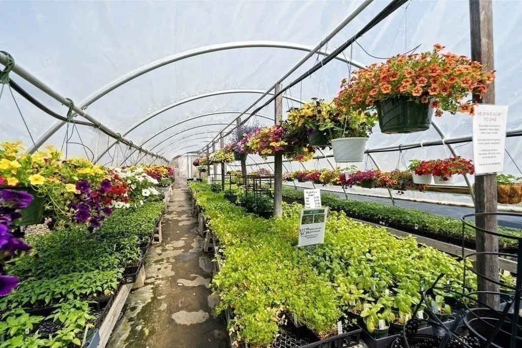 Picture 15