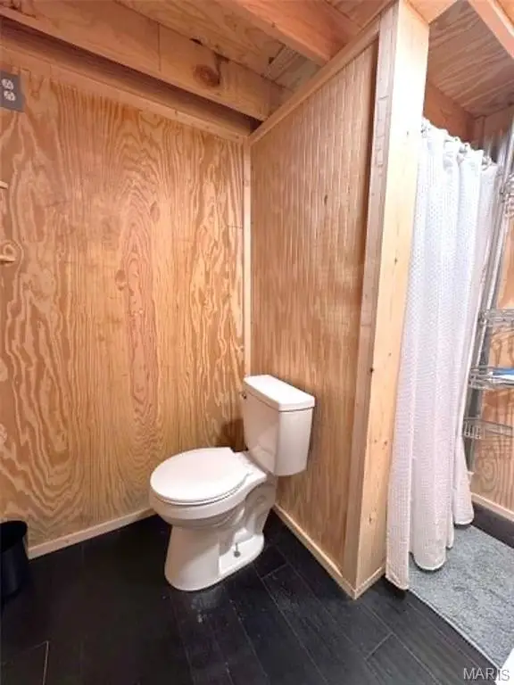 Picture 5