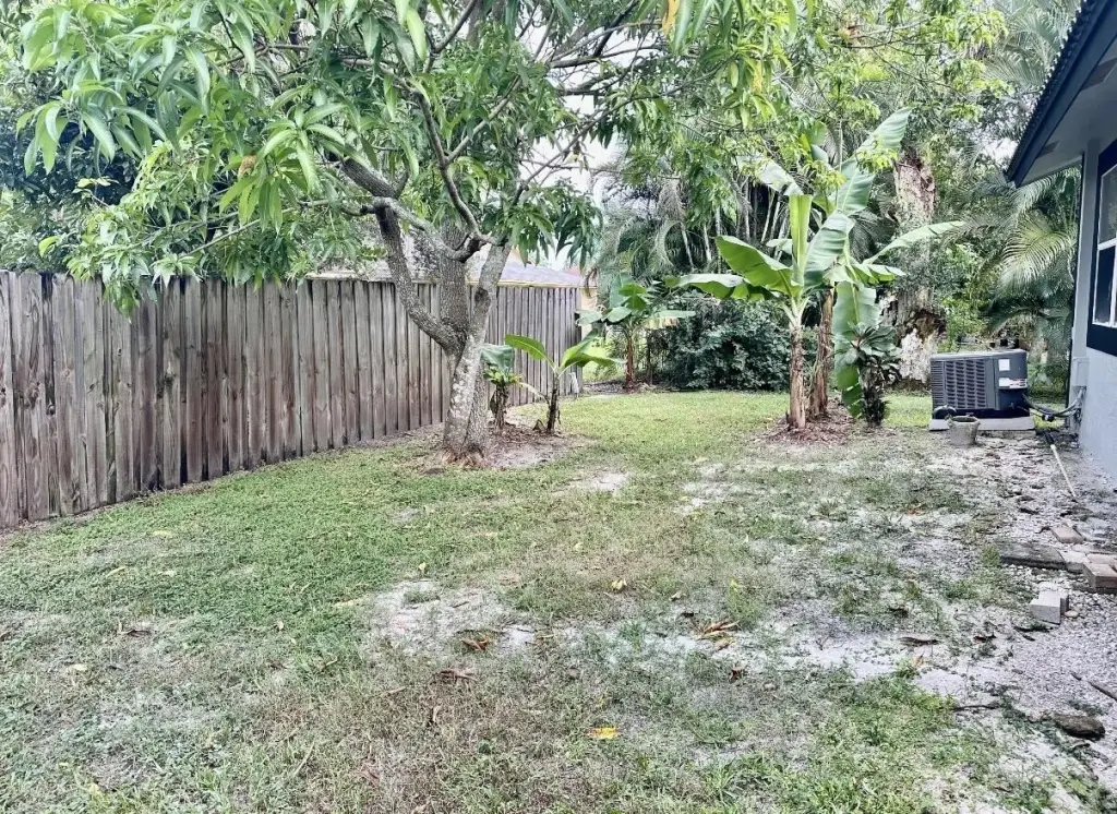 Picture 20
