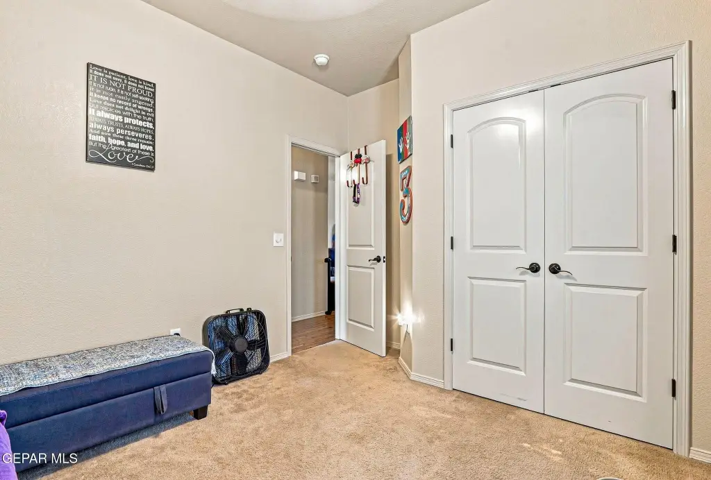 Picture 14