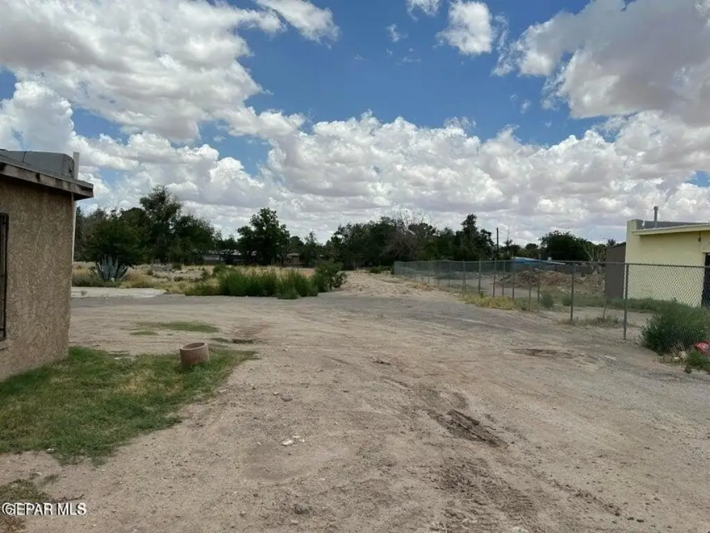 Picture 15